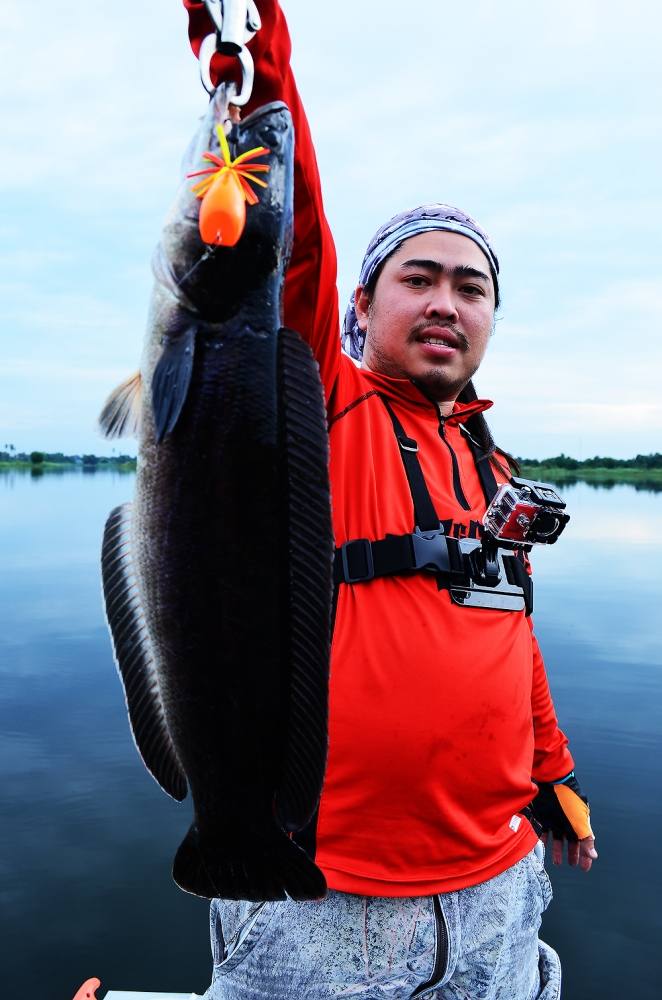 ..... Big Jump Frog กัดโหด ๆ ชะโดป่าบ่อทราย .....