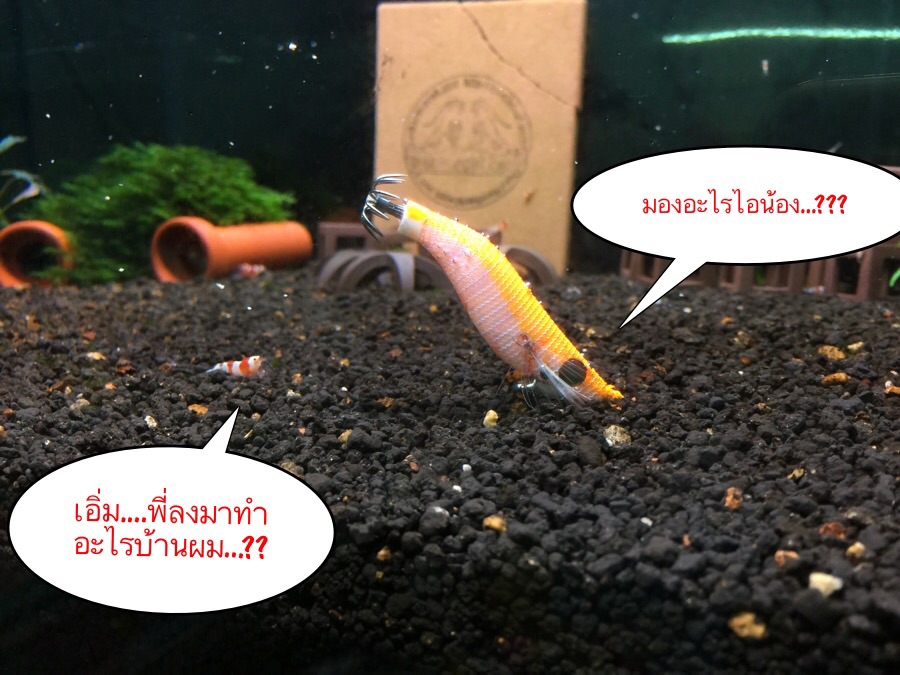 เมื่อ Yamashita ป่วนเมือง ไปทุกน่านน้ำ