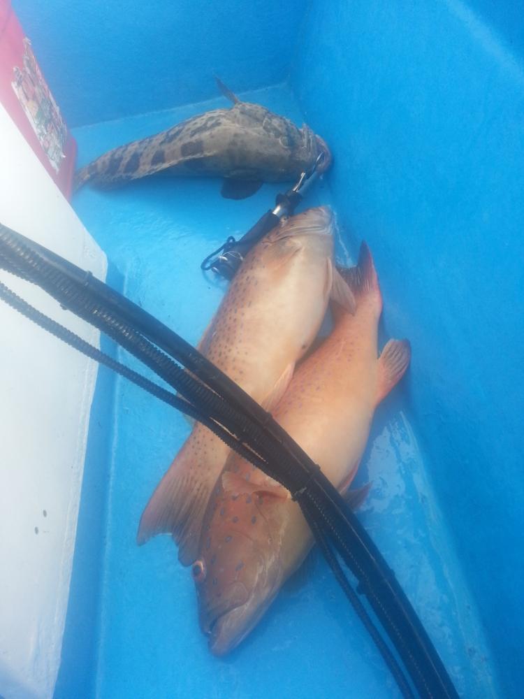 Phangan Jigging Boat 10