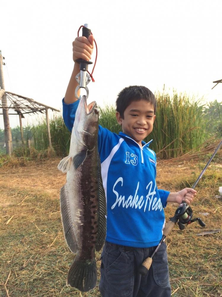 พาลูกไปเรียนพิเศษวันอาทิตย์ by Snakehead angler club