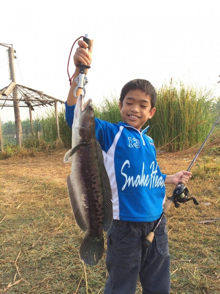 พาลูกไปเรียนพิเศษวันอาทิตย์ by Snakehead angler club