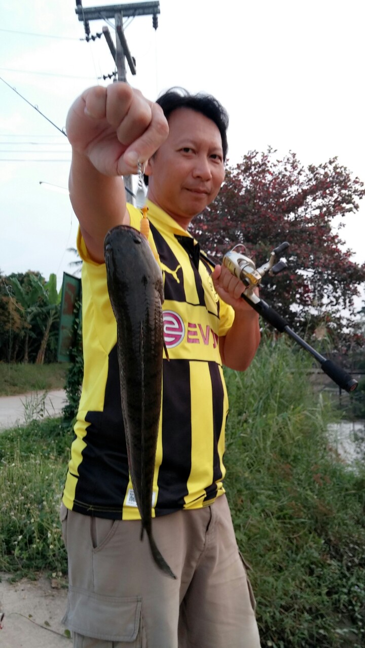 ซ้ำด้วยสปินหนอน