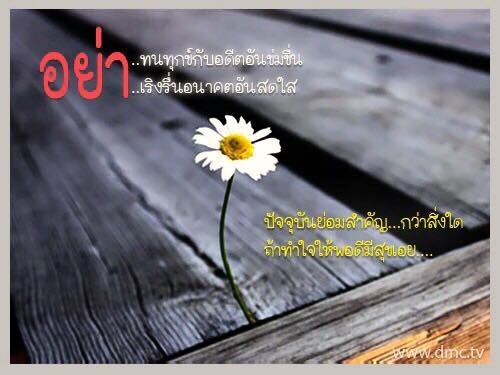 ตามนั้น