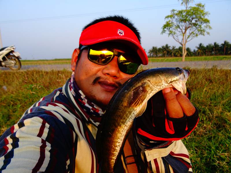 กัดเป็นติด 