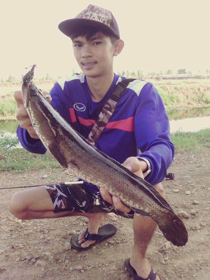 ออกลองเหยื่อ...ช่อน