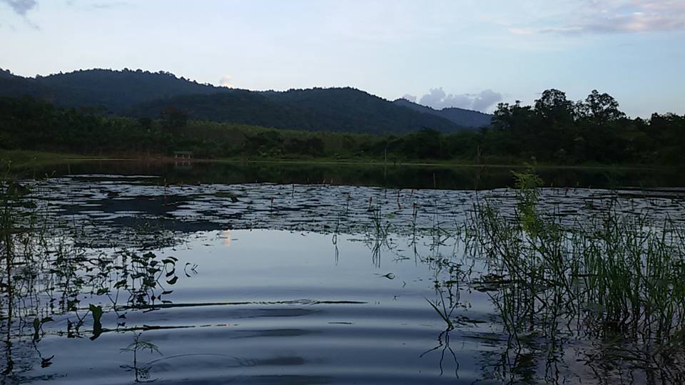 ชะโด เจ๊ดคต สระบุรี