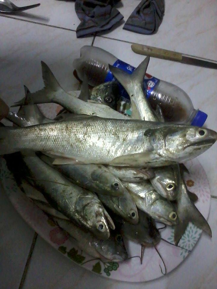 มีตัวซะงั้น
