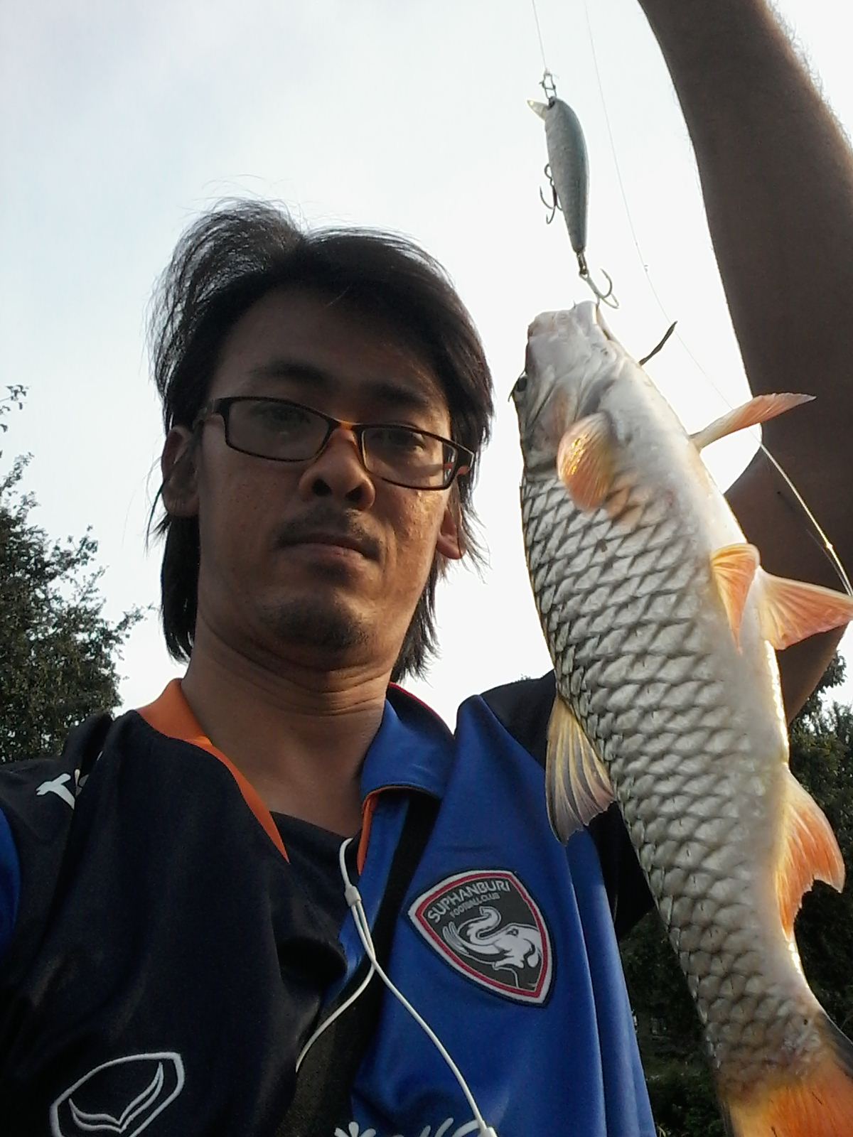 กระสูบยามเย็น
