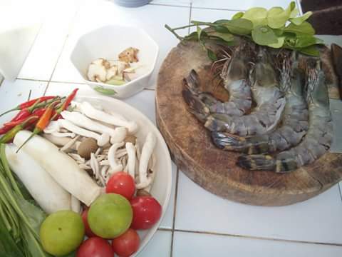 กุ้ง กุ้ง เสือ  (กุุ้งกุลาดำ ลายเสือ)