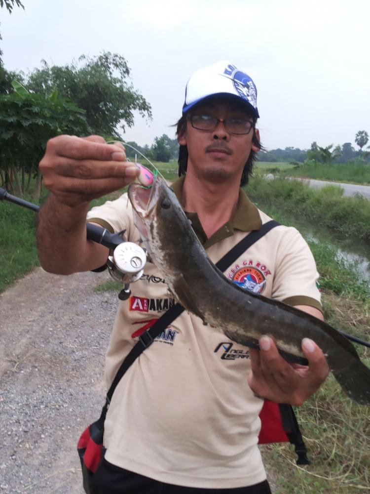 คลองเอ๋ย...คลองชล