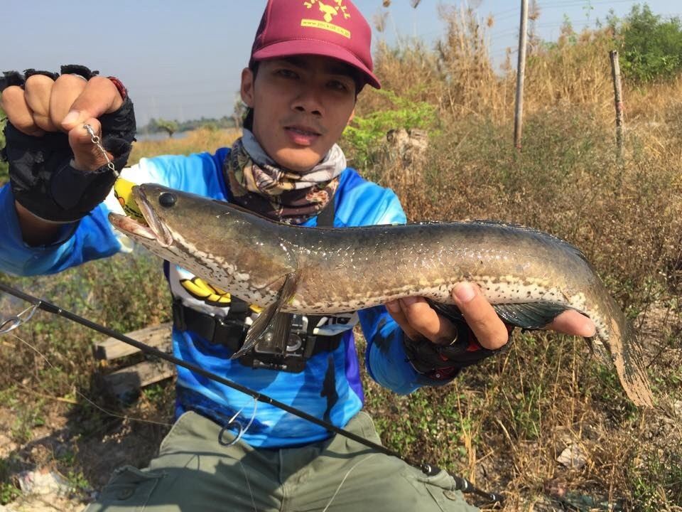 [ข้าง][ทาง]