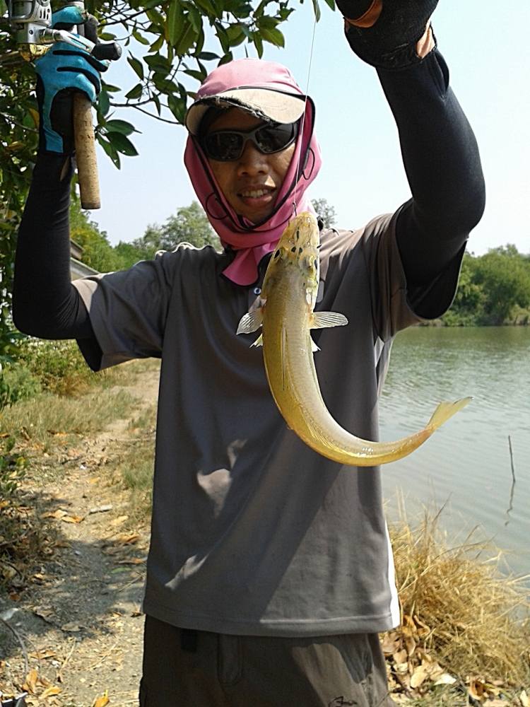 วันว่างๆกับเห็ดโคน