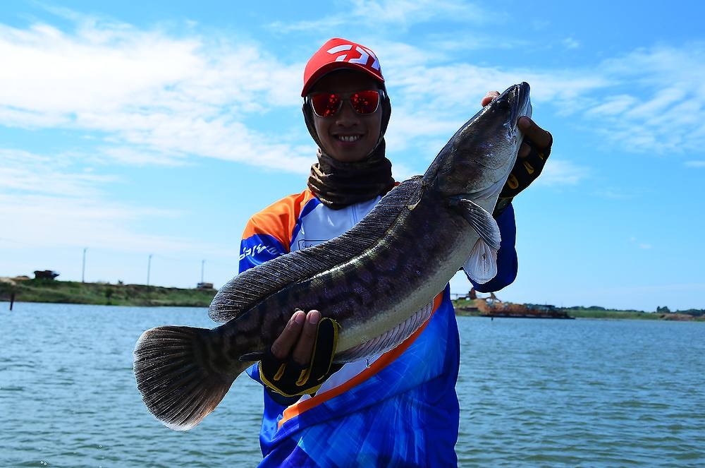 .....  ปลุกใจ ! ชะโดป่า ^^ บ่อทราย ^^ Giant SnakeHead