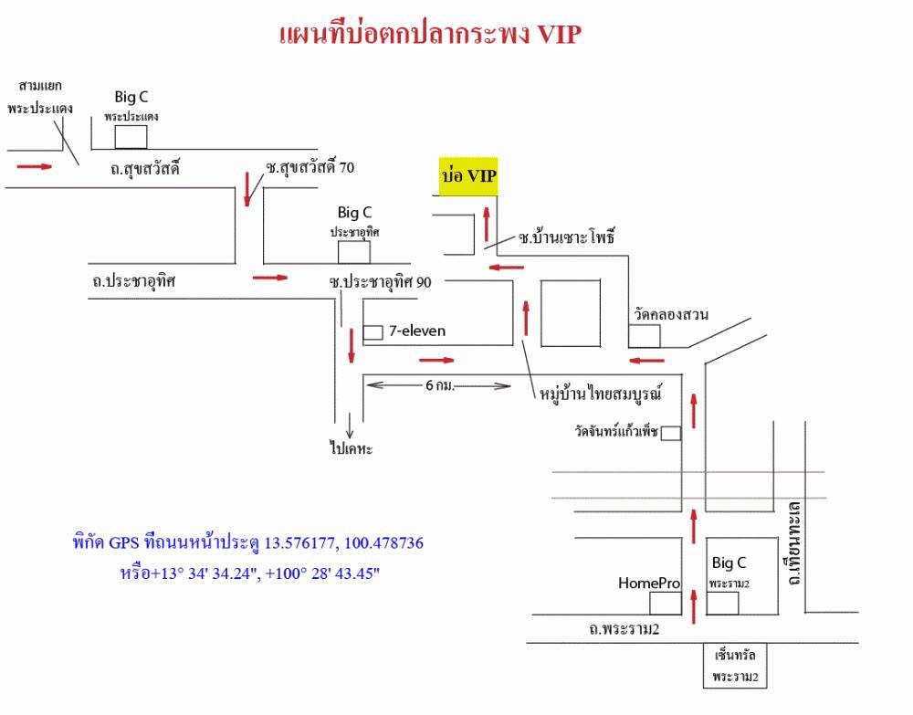 บ่อ VIP ลงปลาใหม่ซิงๆ 600 ตัว