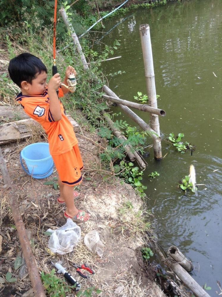 นิน ตะพานหิน โดยต้นข้าว