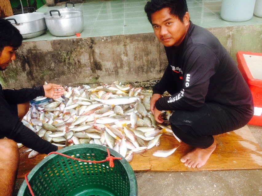 เสม็ดอีกแล้วครับ