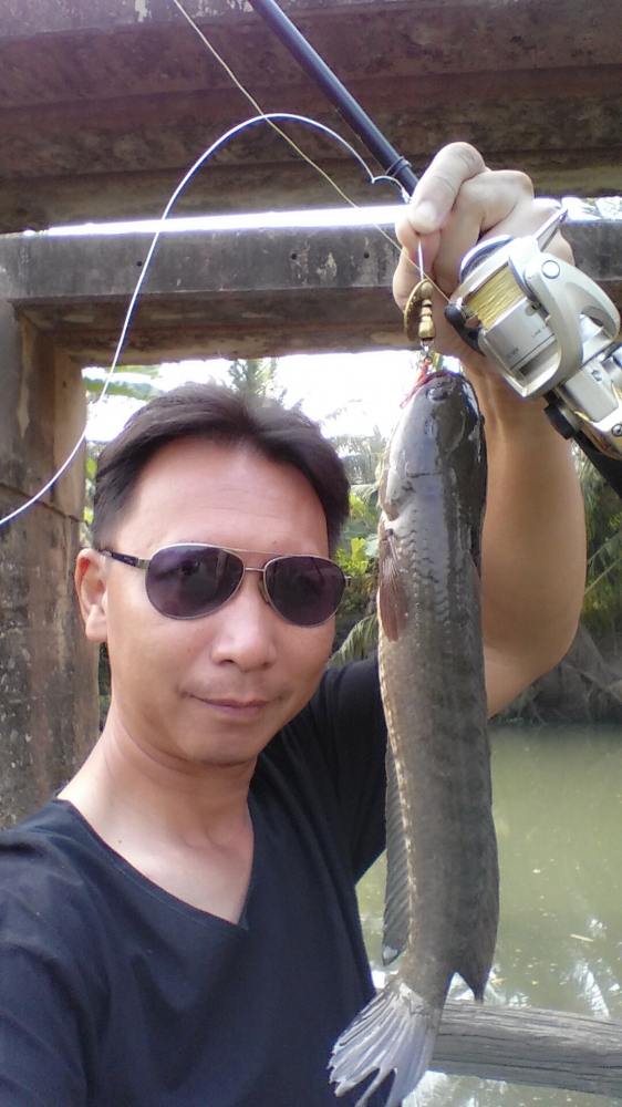 ใบหลิวจัดมาหนึ่ง