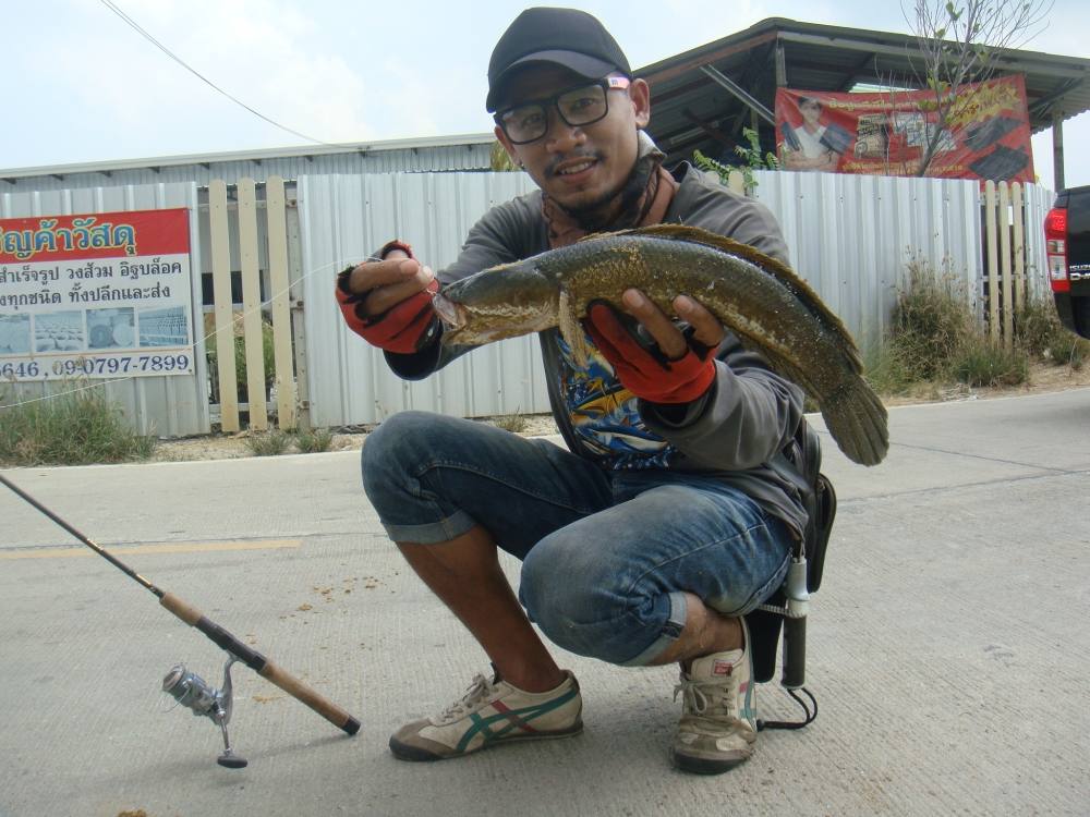 หมายข้างทาง ยังมันได้อีก / SnakeHead Angler Club