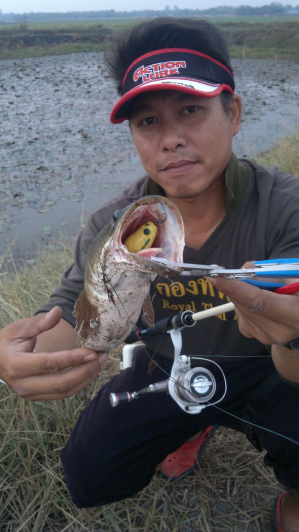 รหัสNเม็ดขนุน..มินิ