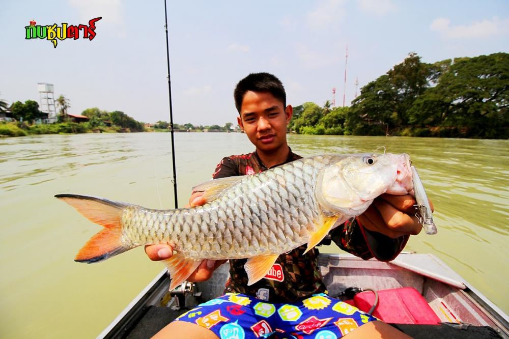 ตกปลากระสูบแม่น้ำเจ้าพระยารอบเมืองอยุธยา