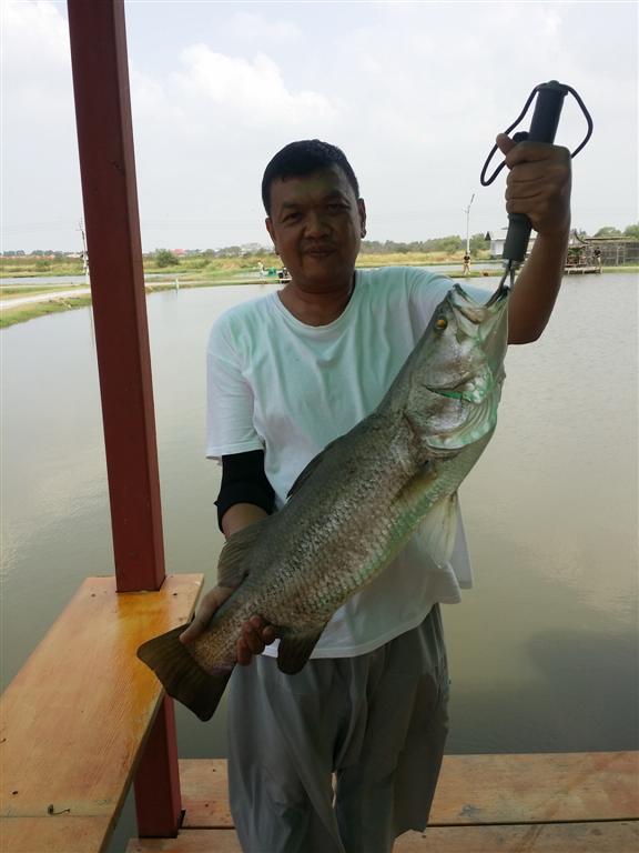 ความสุขเล็ก ๆ  ณ PILOT 111  Fishing Park ( 14-15 ก.พ. 58 )