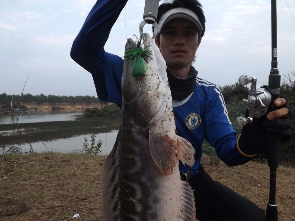 ...แบกสังขาร..ไปมันส์ๆๆๆๆกับชะโด แม่มูล  หลังเลิกเรียน....ครับ..