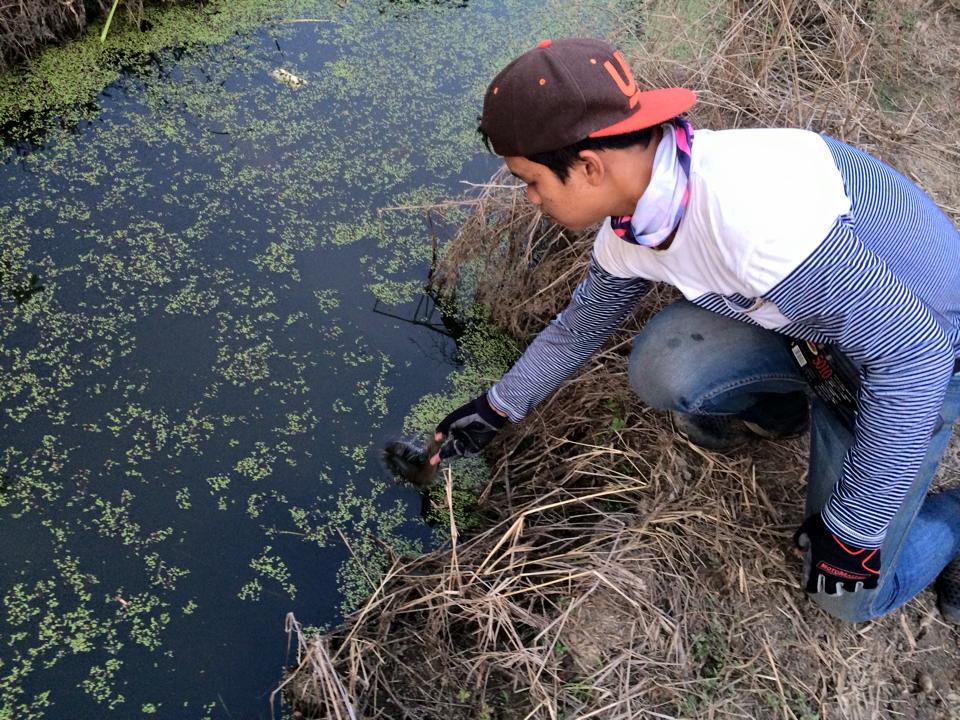 "‪Memo‬ Frog" อีกแกะ ! ต้อนรับตรุษจีนครับ.. ขอให้น้าๆรวยๆๆๆๆ รวยๆ 