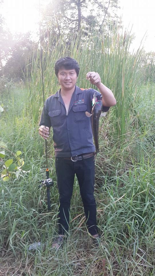 ปลาช่อนหลังเลิกงาน...อมตะนคร...ชลบุรี