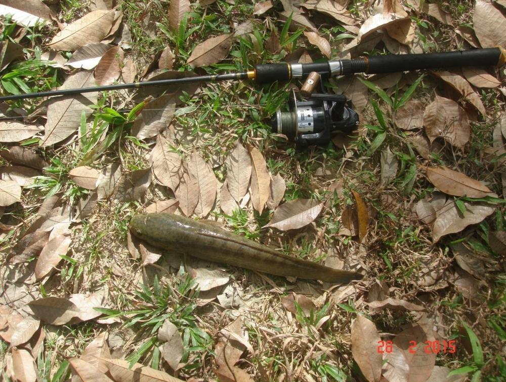 Texas rig...Shane is back..เชนกลับมาแล้ว