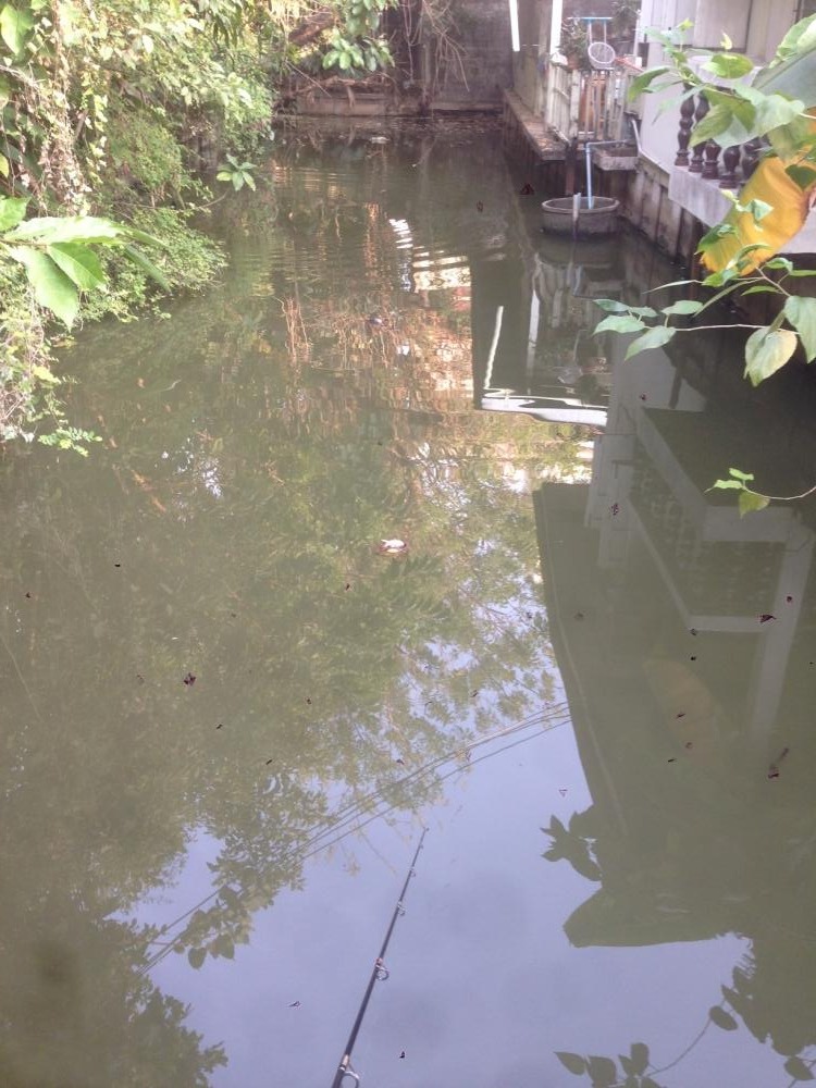 ทุ่นลอย ขำขำหลังบ้าน (มีต่อ)