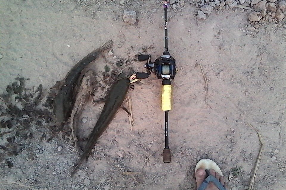 ได้ถึง 6แต้มที่พะเยา  (Lure Fishing4U)