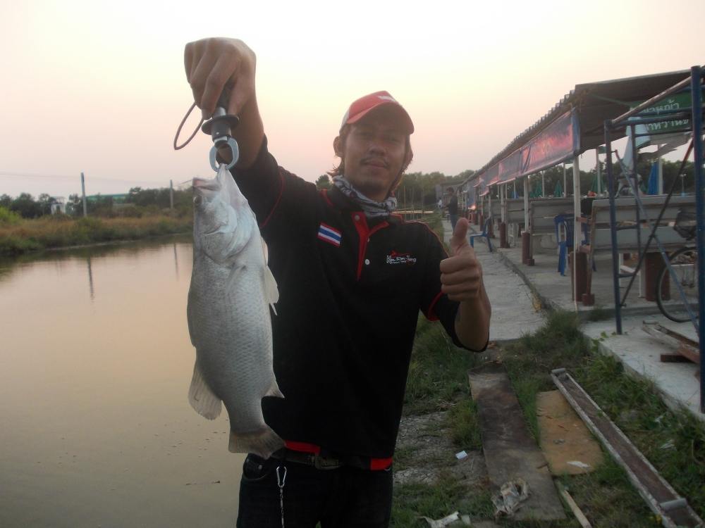 นานๆที ของสมาชิกชาว เเก๊งค์ Kon - Rim - Thang Fishing Gang ที่บ่อ VIP 