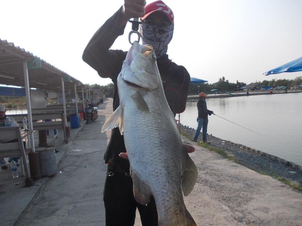 นานๆที ของสมาชิกชาว เเก๊งค์ Kon - Rim - Thang Fishing Gang ที่บ่อ VIP 