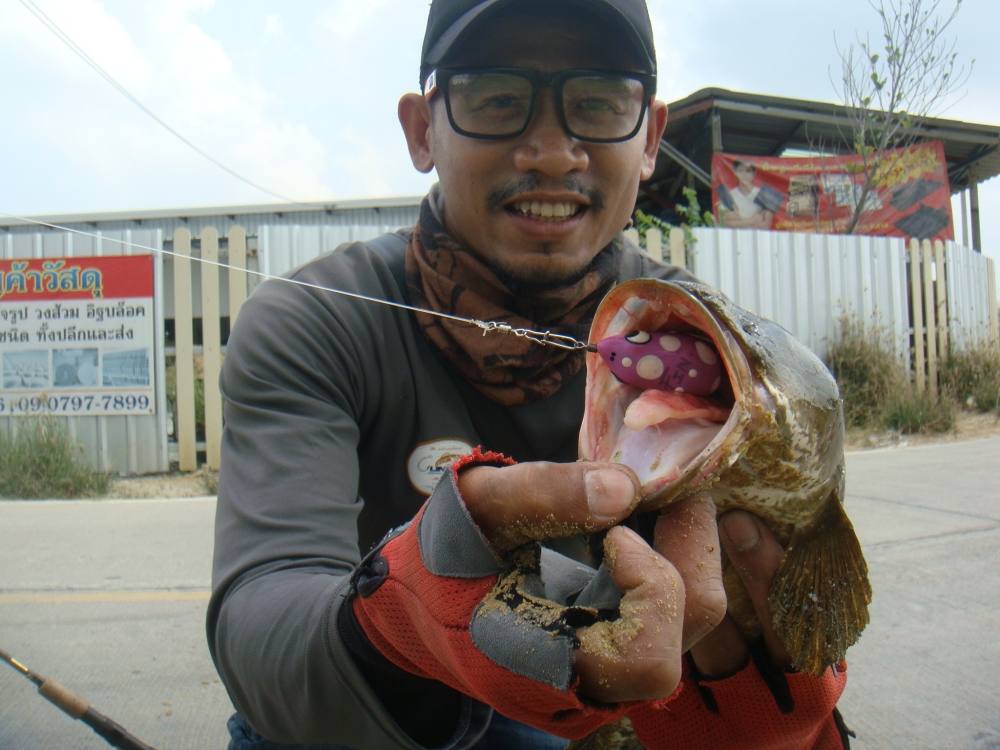 ถูกหวยคับวันนี้ / SnakeHead Angler Club 