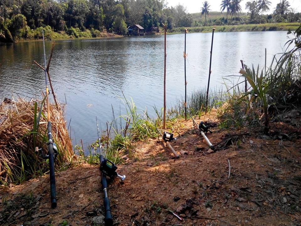 ขอคำแนะนำครับ