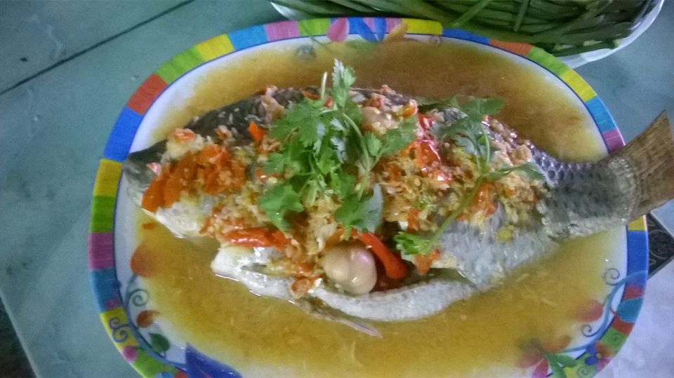 ความสุขของผมคือได้ทำอาหารให้คนที่รักได้กิน วันนี้เมนูปลานิลนึ่งครับ
