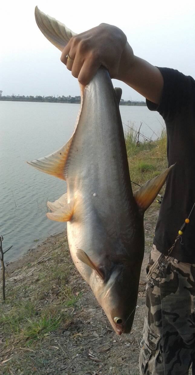 ไปลองเหยื่อสูตรใหม่มาครับ