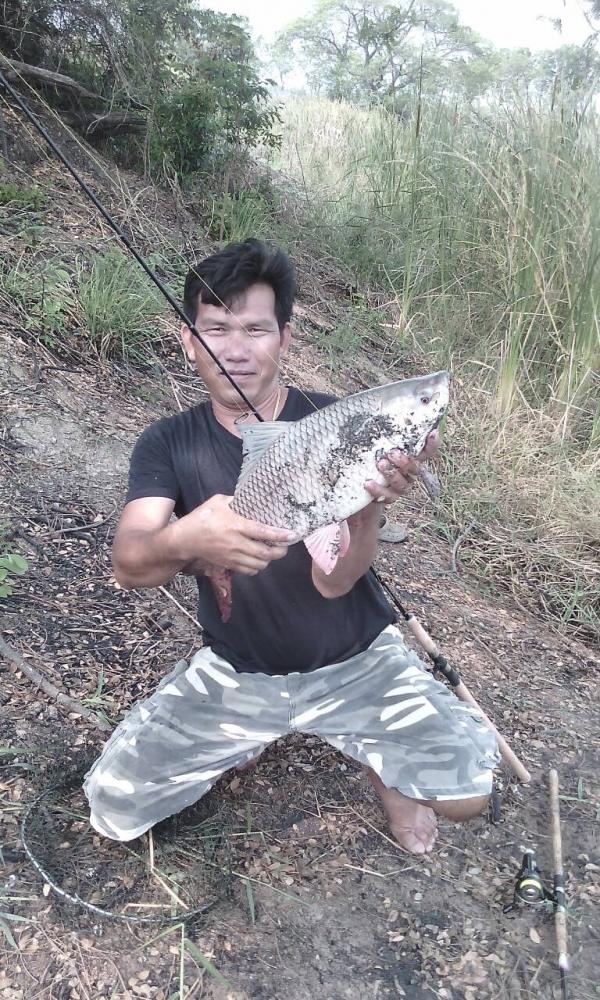 สปิ๋วกระพง
