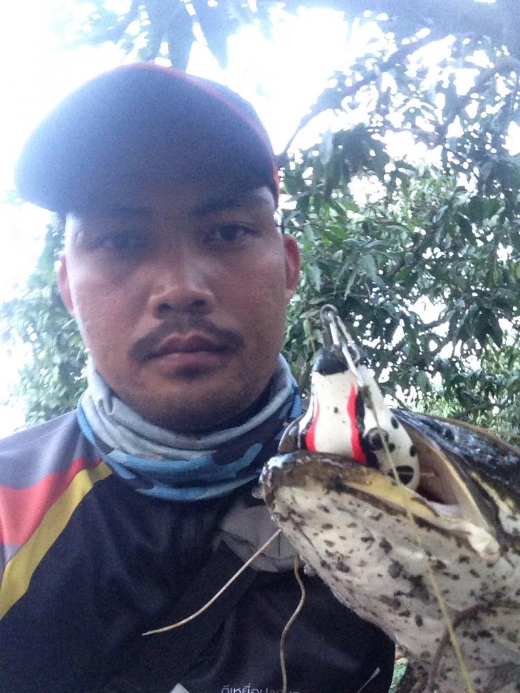 จัดไปช่อนร่องสวนกับหนูยาง 3.5