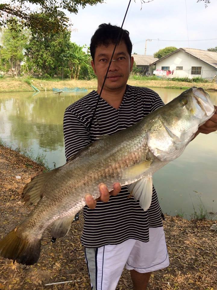 ฝากประชาสัมพันครับ จ้าวเหยื่อปลอมประเภททีมชิงเงินรางวัลรวม6,000บาท