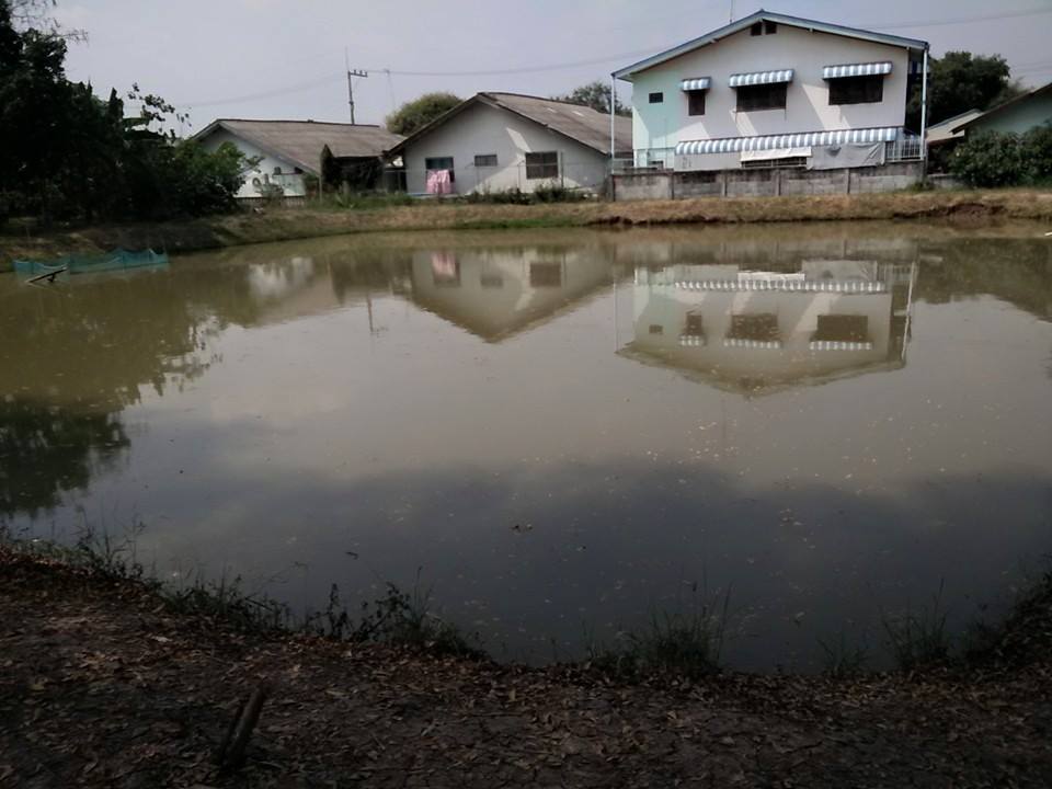 ฝากประชาสัมพันครับ จ้าวเหยื่อปลอมประเภททีมชิงเงินรางวัลรวม6,000บาท