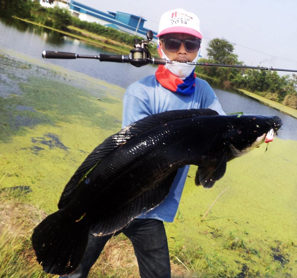 ไอ้ดำ!