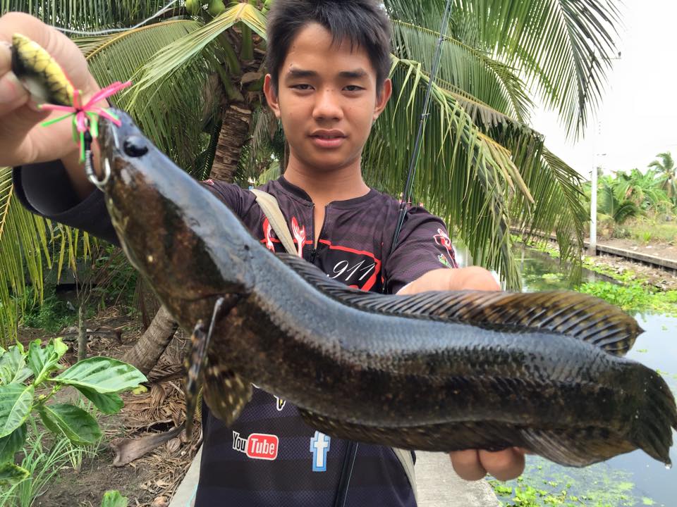 ถล่มช่อนคลองบ้านแพ้วธรรมชาติ 