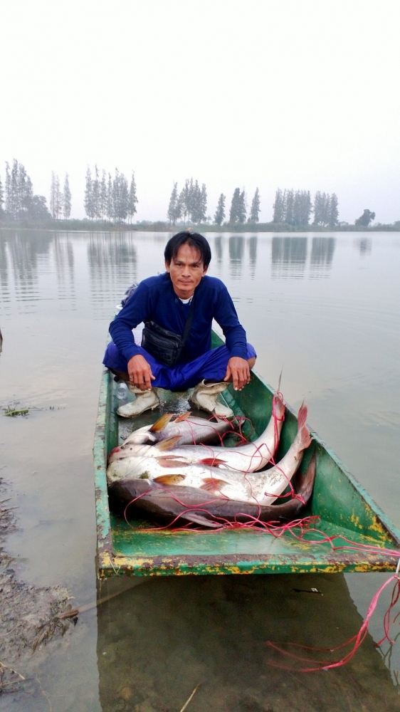 สุชาติกระชังแตก 16 หลังฝนตกใหญ่ คืน 25 มีค 58 อีกรอบ