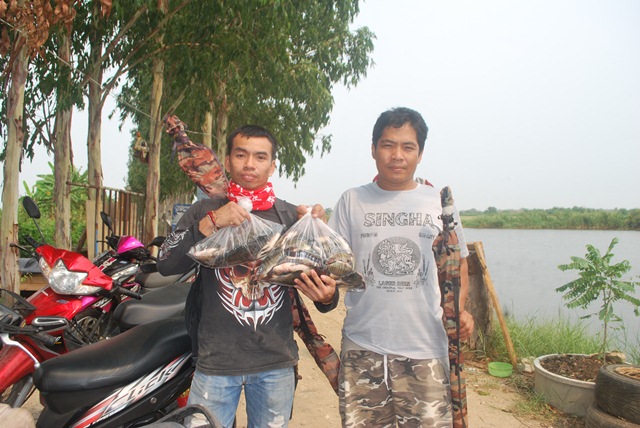 บ่อตกปลาหนุ่มบางวัว (บ่อปลารวม) วันที่ 21,22-03-58