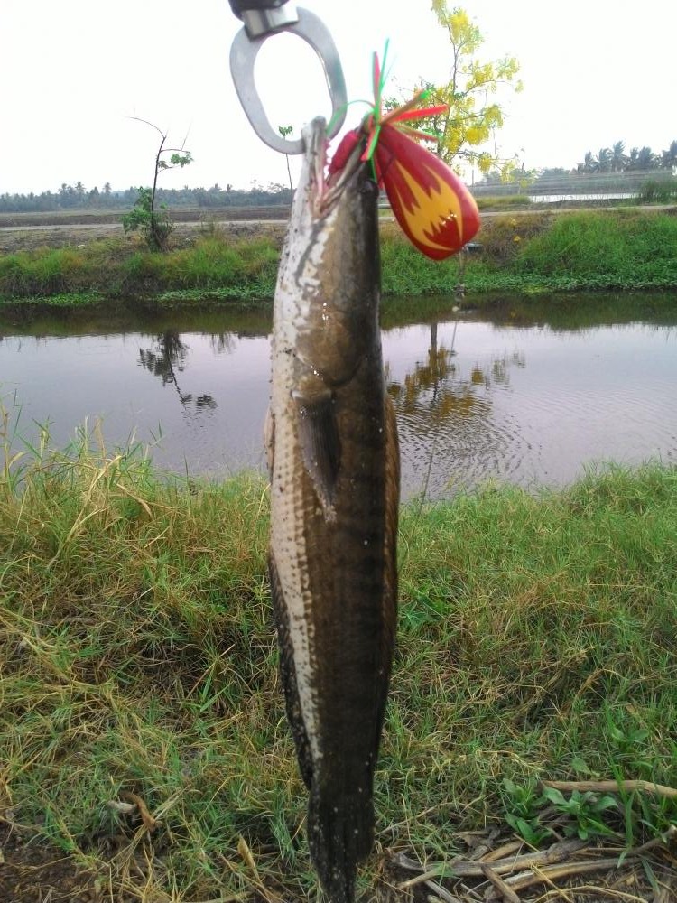 ทริปปิดเทอมลูกกับความสุขของพ่อ