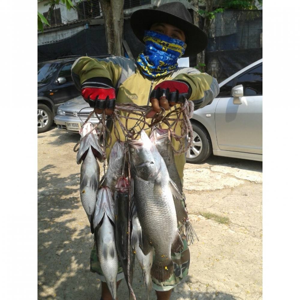 บ่อบุปผากะพงปุบเฟ่ไปแก้มือ