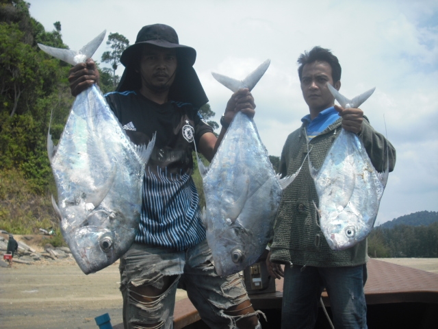 ตกปลาที่หาดบางเบน ระนอง