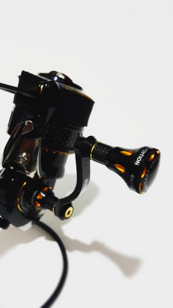 Project Daiwa Spin...by Ryujin