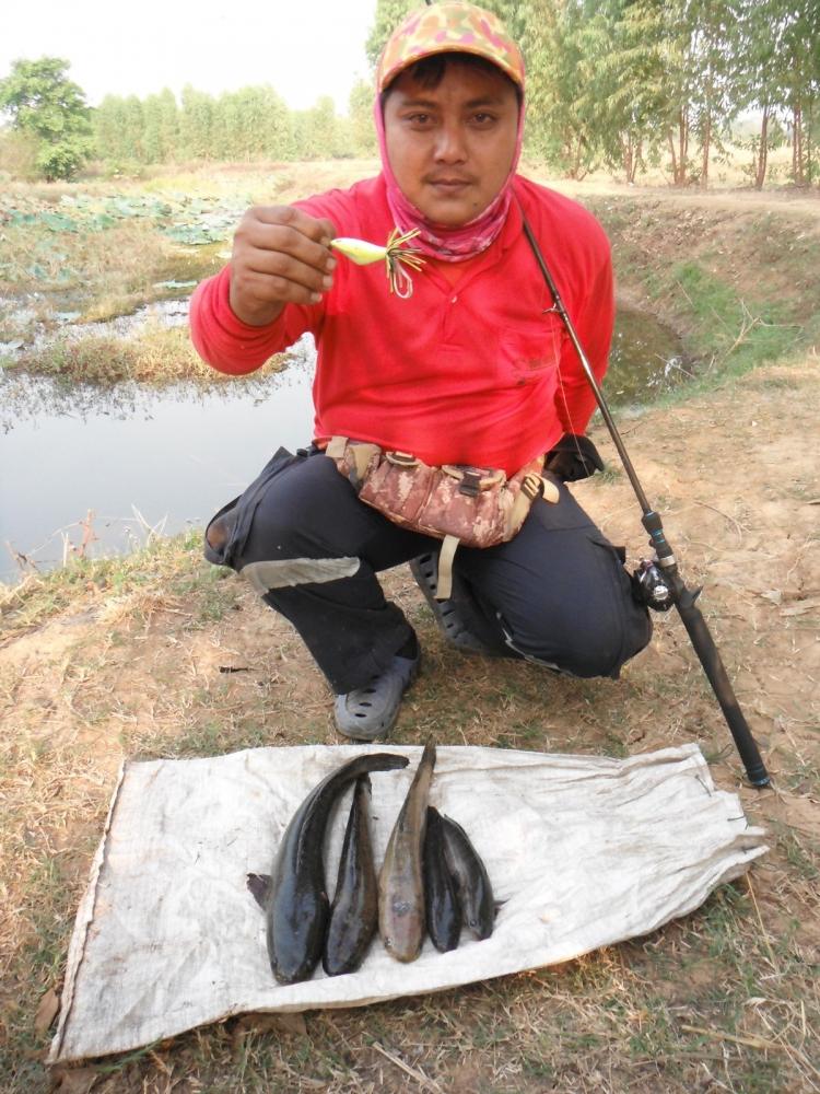 พาน้องไปตีกบพันธุ์"ฉีด"ครับ